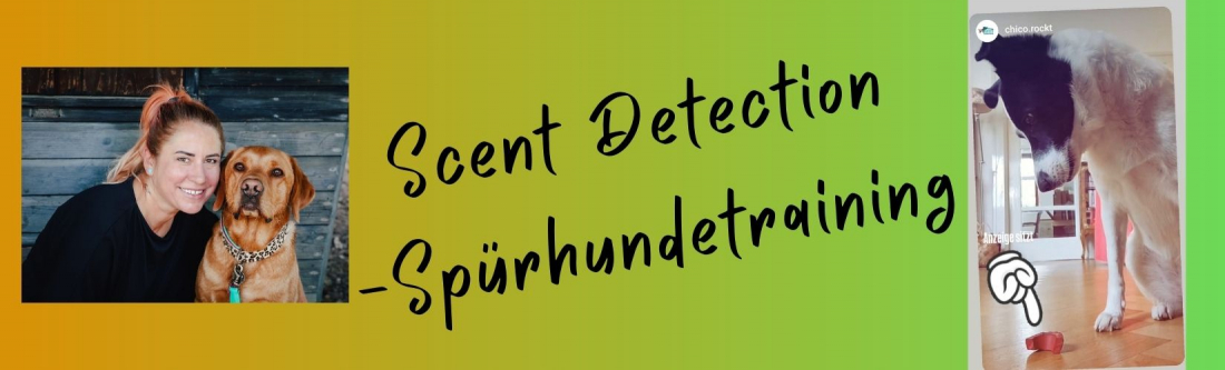 Scent Detection - Spürhundetraining