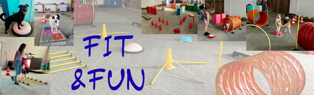 Fit&Fun Kurs